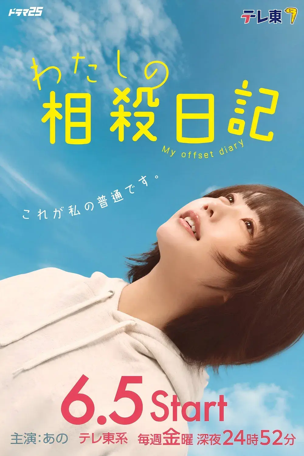 我的相抵日记海报