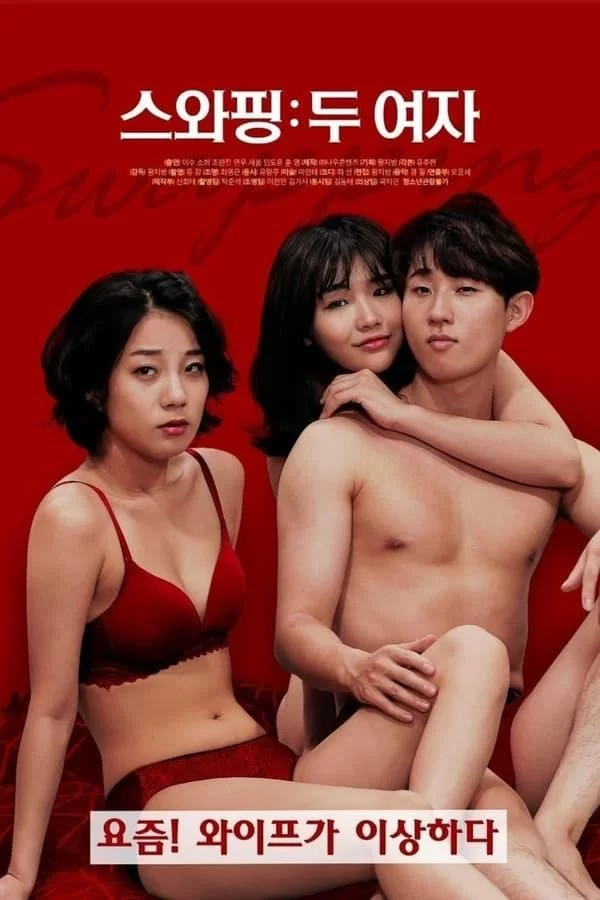 交换：两个女人海报