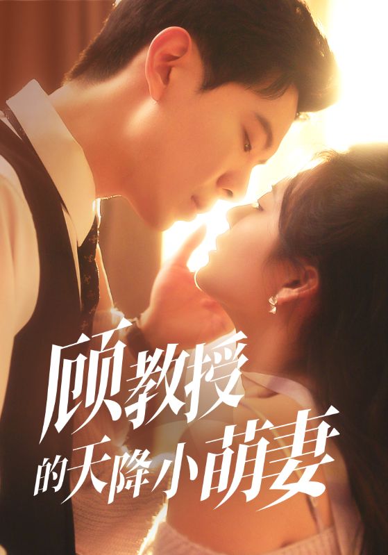 顾教授的天降小萌妻海报