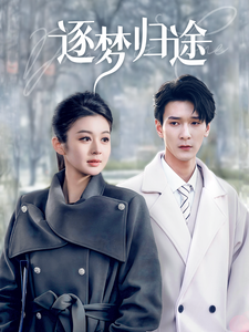 逐梦归途海报
