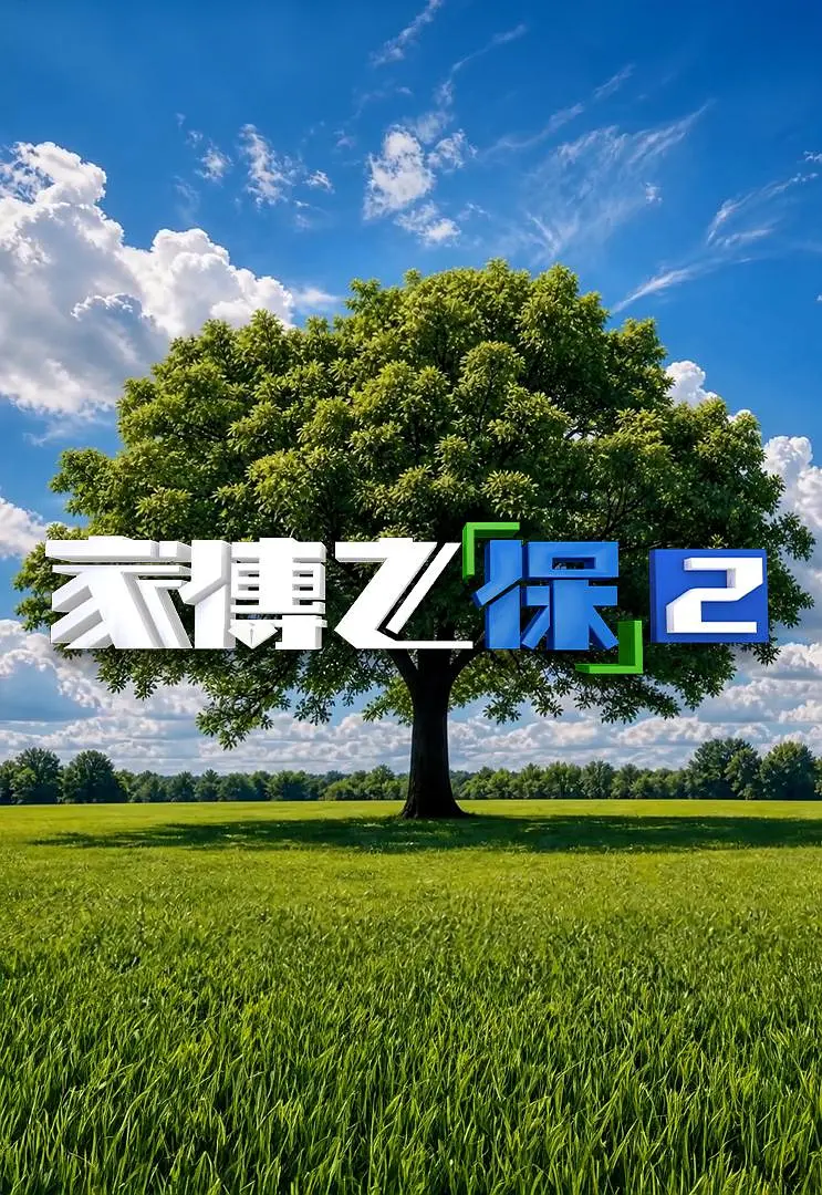 家传之“保”2海报