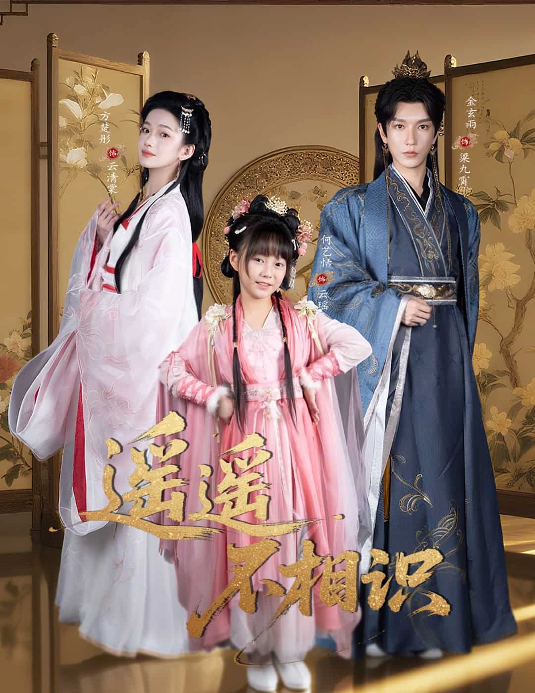 遥遥不相识海报