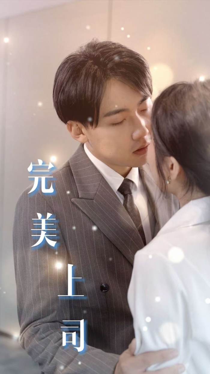 完美上司海报