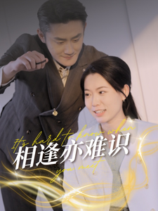 相逢亦难识海报