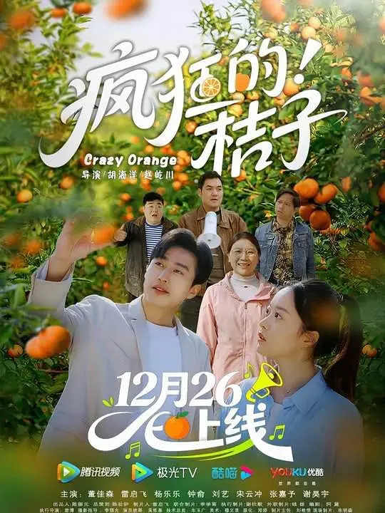 疯狂的桔子海报