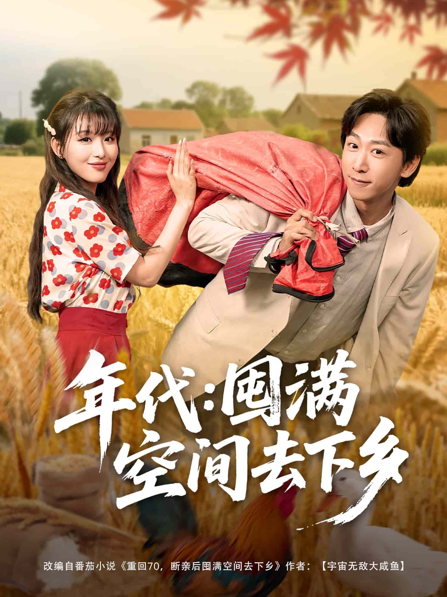 年代囤满空间去下乡海报