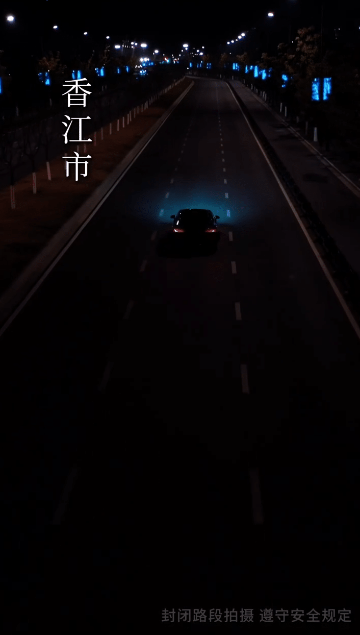 笼中雀海报