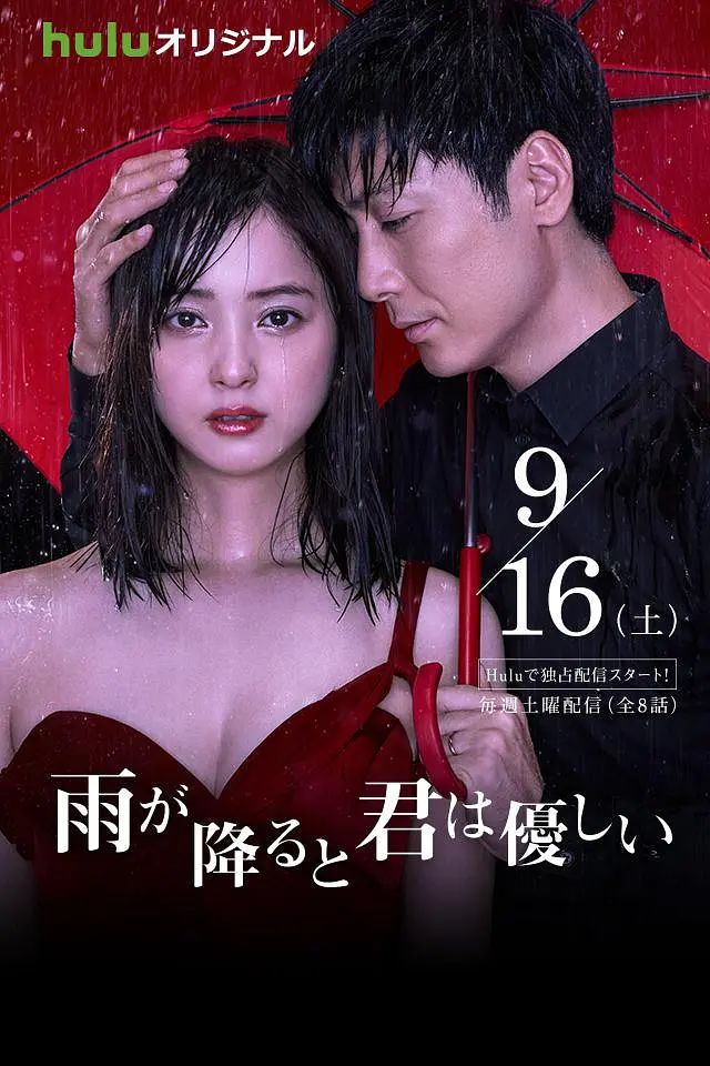 下雨时你的温柔海报