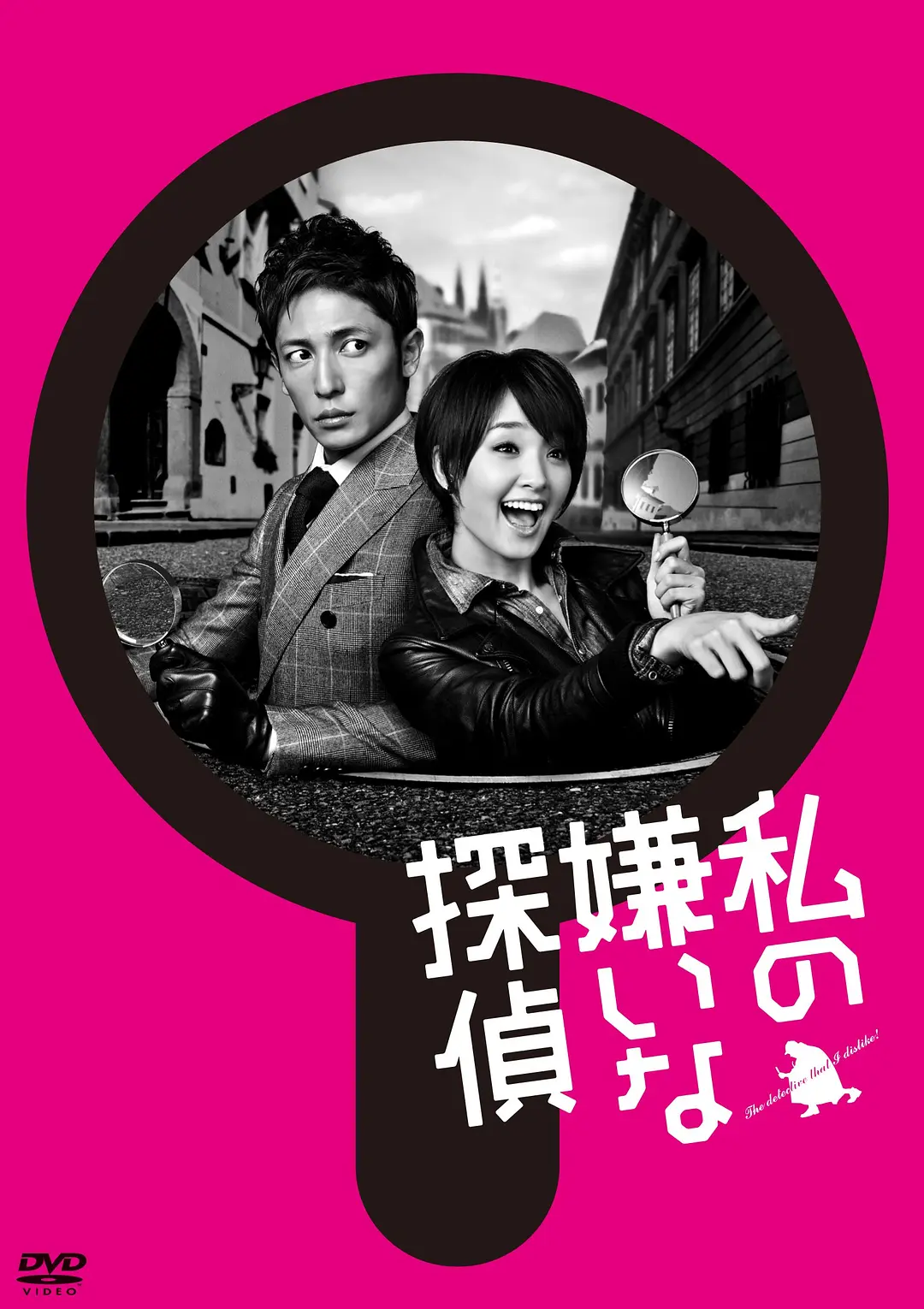 我讨厌的侦探海报
