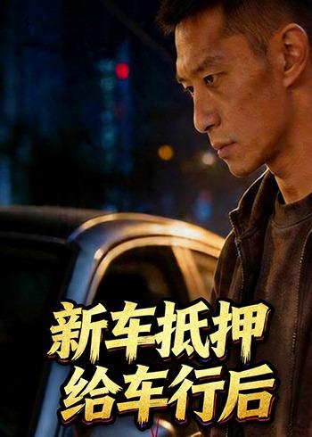 新车抵押给车行后海报