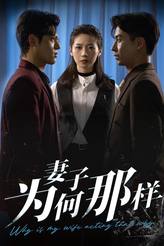 妻子为何那样海报
