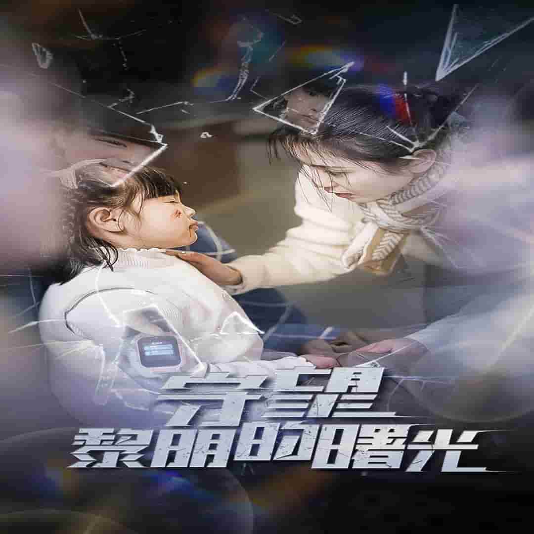 守望黎明的曙光海报