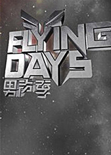 Flying Days2010海报
