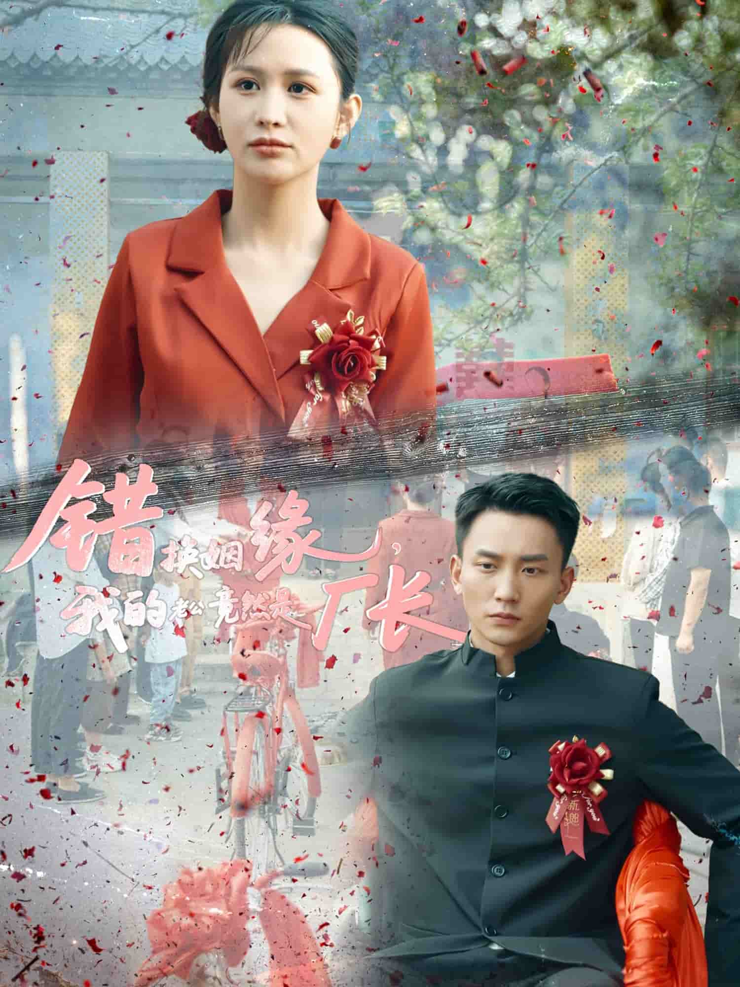 错换姻缘，我的老公竟然是厂长海报