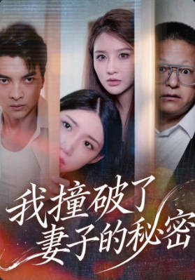 我撞破了妻子的秘密海报