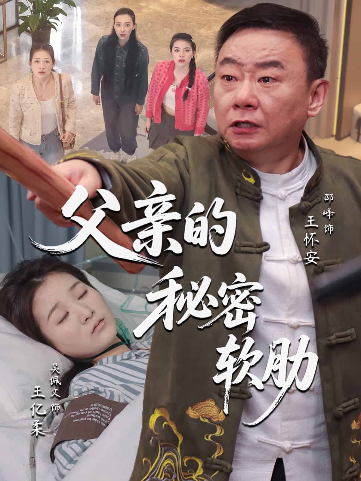 父亲的秘密软肋海报