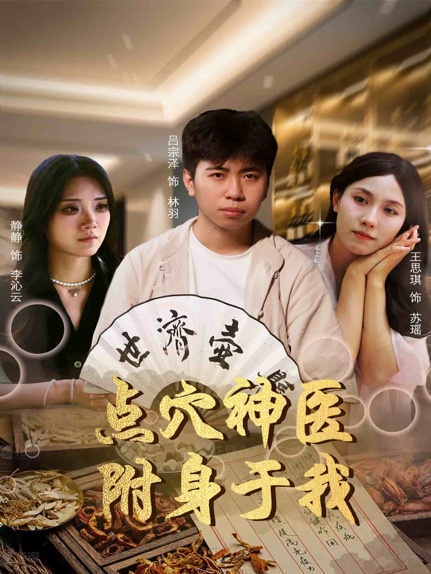 点穴神医附身于我海报