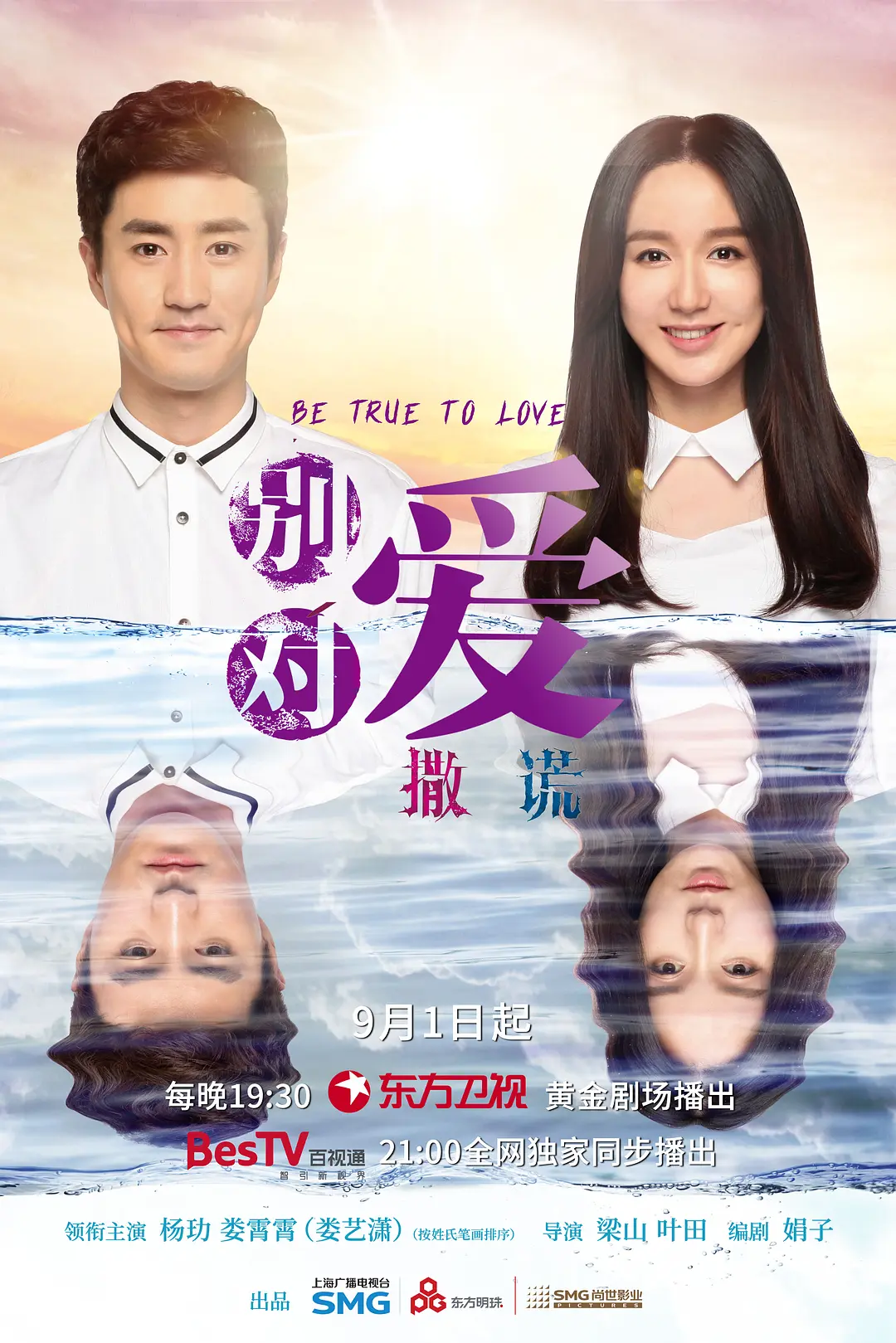 请对我说谎海报