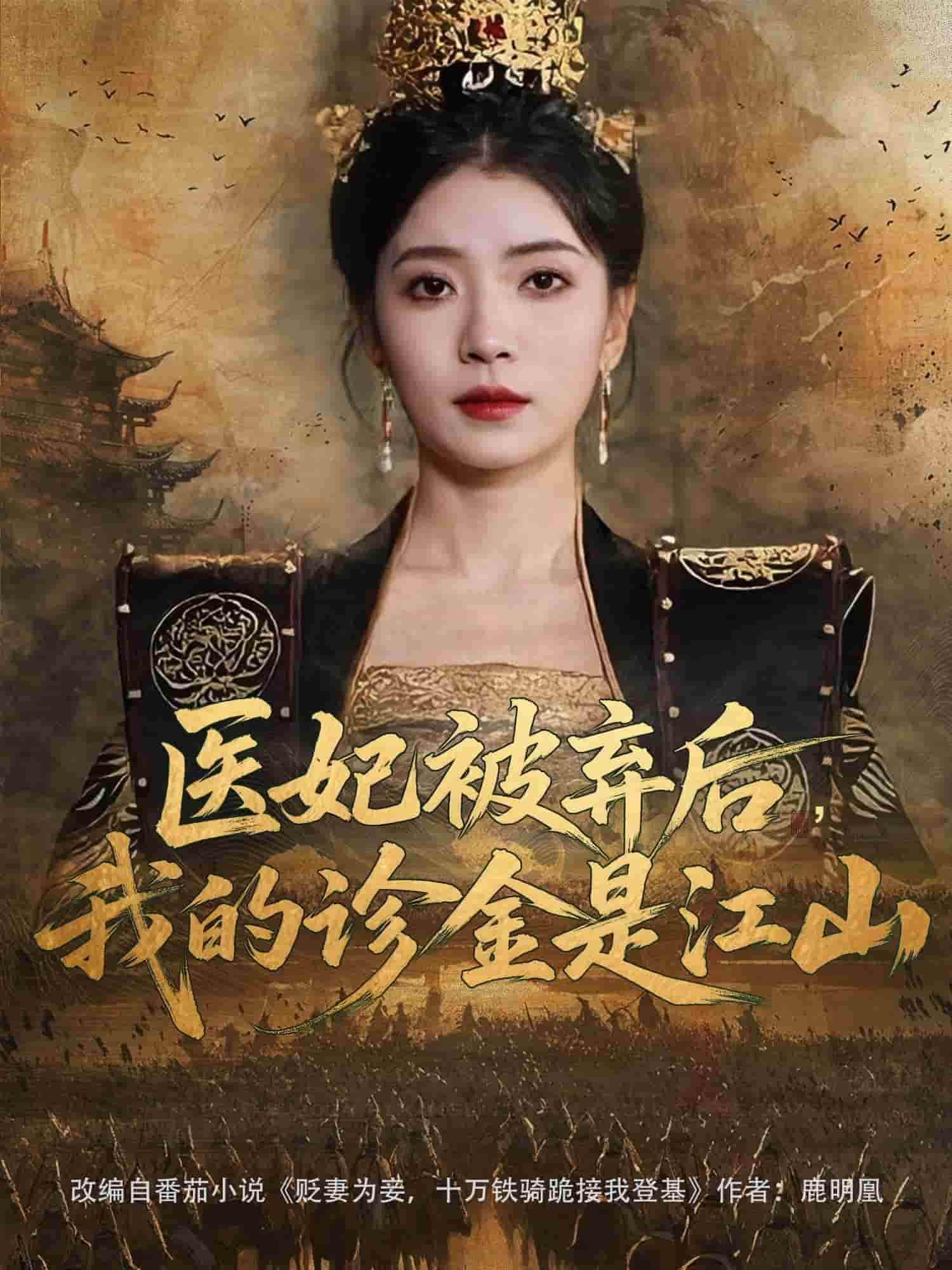医妃被弃后，我的诊金是江山海报