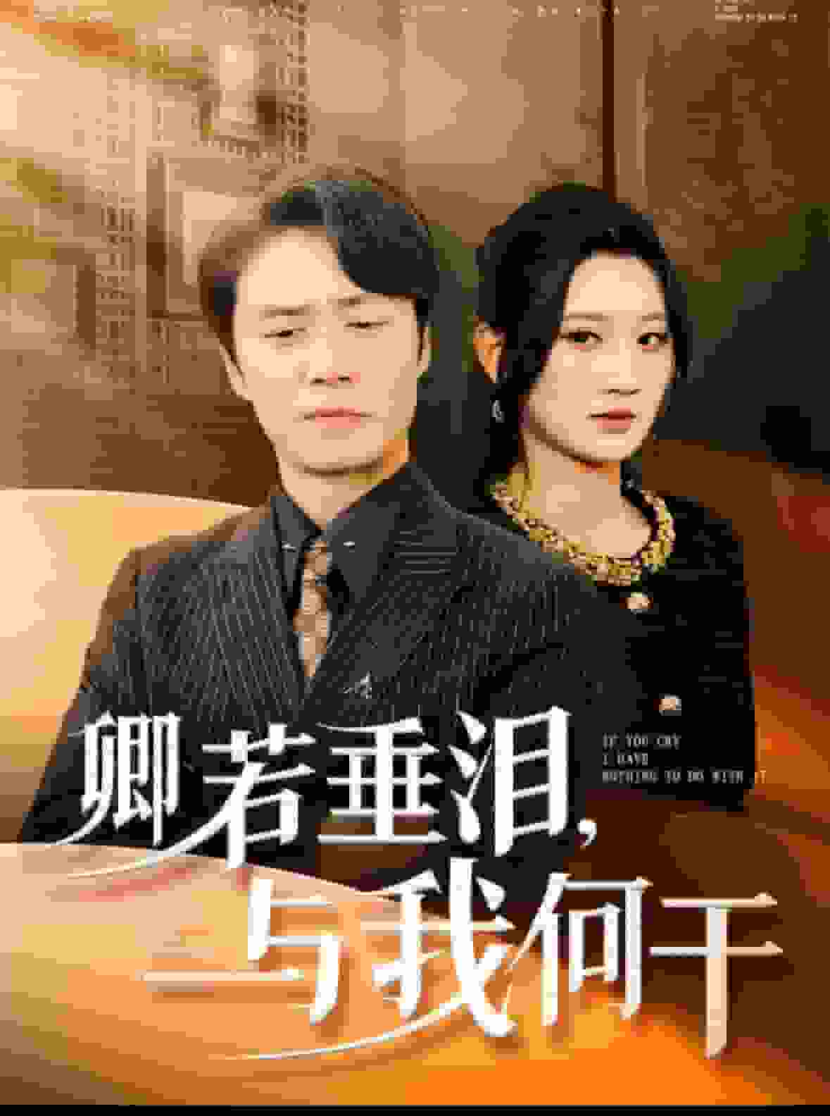 卿若垂泪与我何干海报
