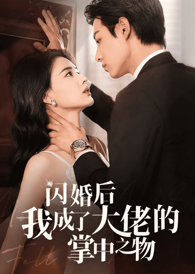 闪婚后我成了大佬的掌中之物海报