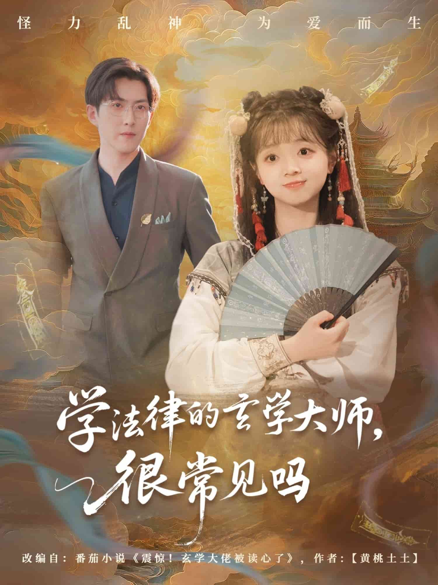 学法律的玄学大师很常见吗海报