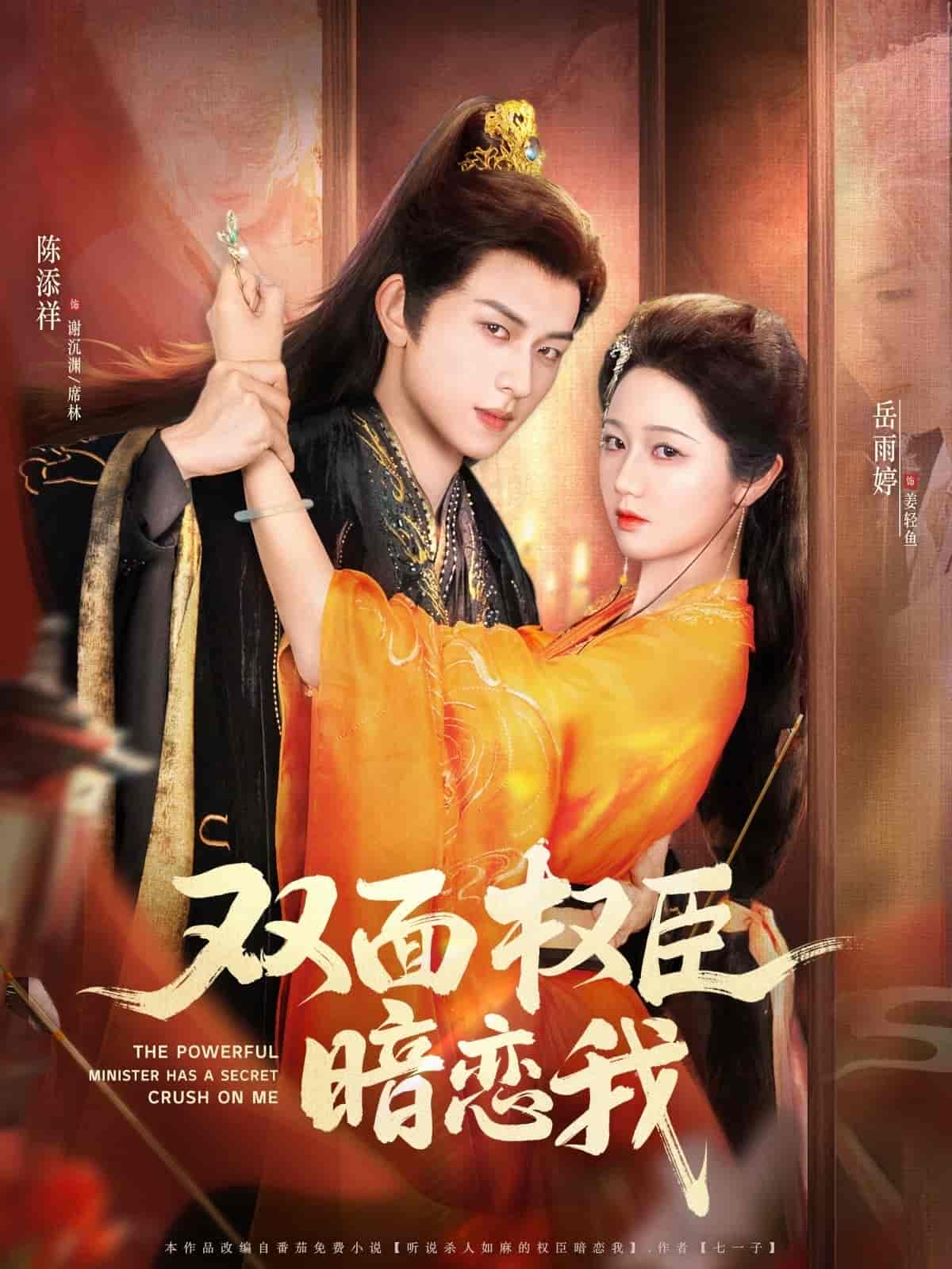双面权臣暗恋我海报
