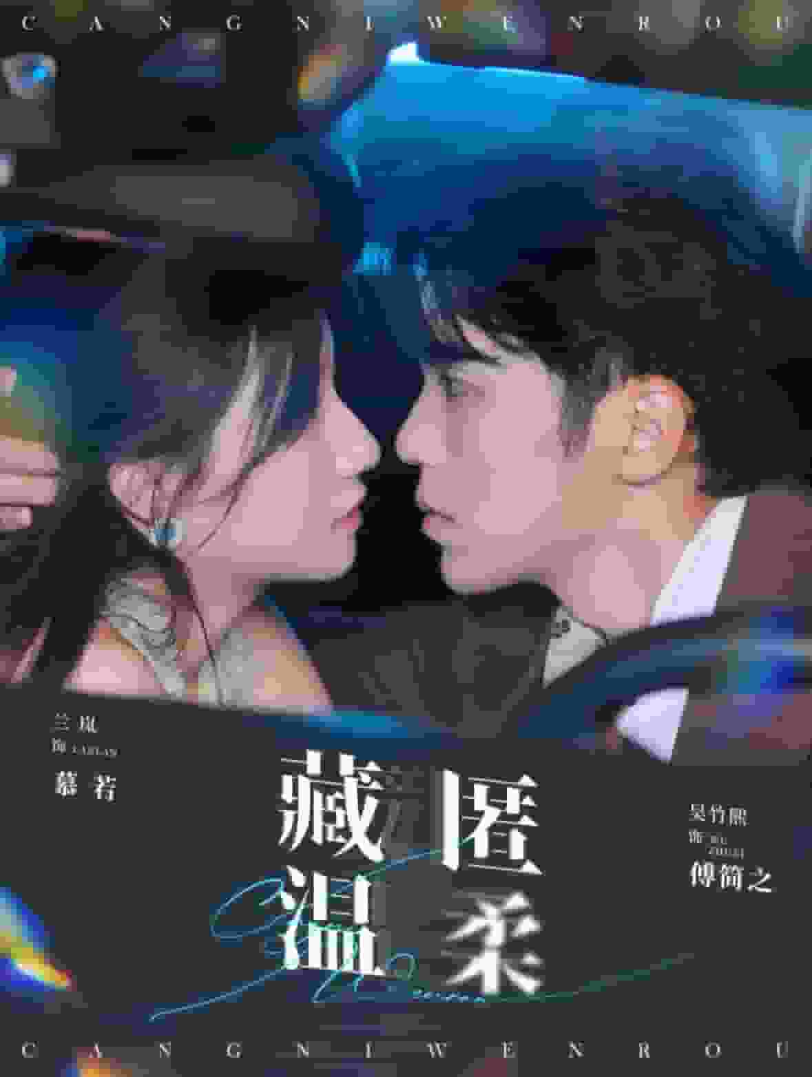 藏匿温柔海报