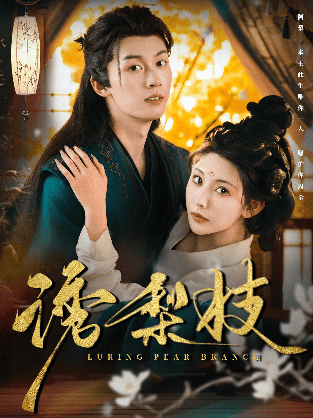 诱梨枝海报
