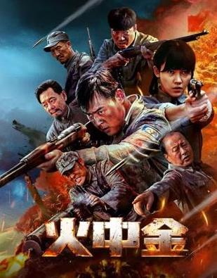 火中金海报