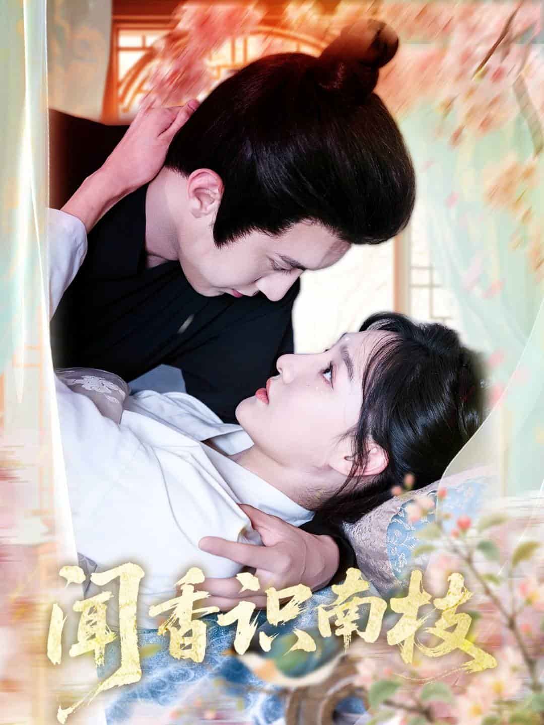 闻香识南枝海报
