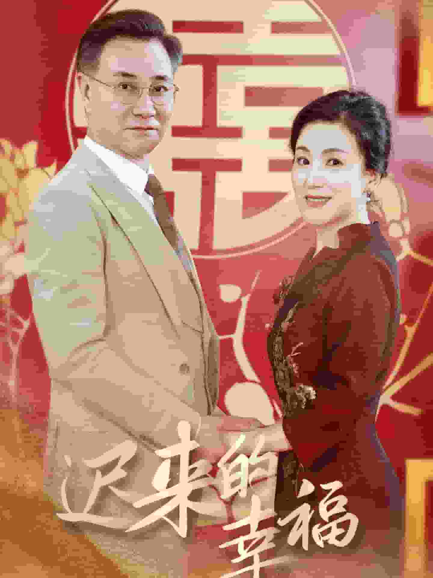 迟来的幸福海报