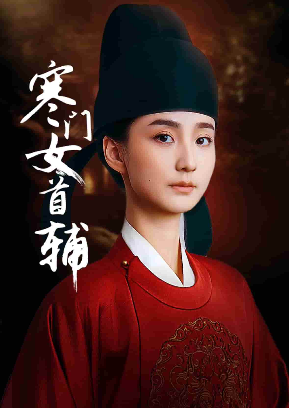 寒门女首辅海报