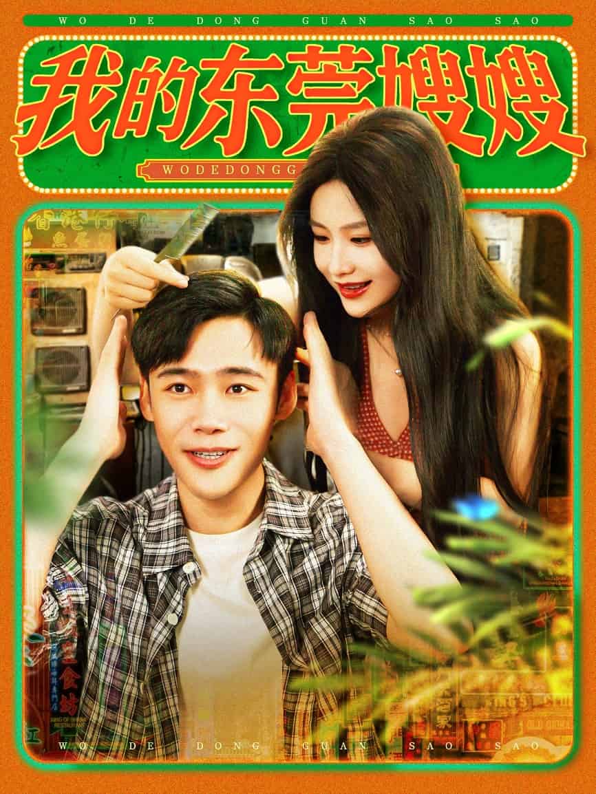 我的东莞嫂嫂海报