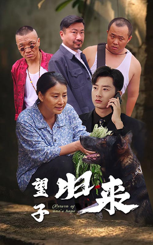 望子归来海报