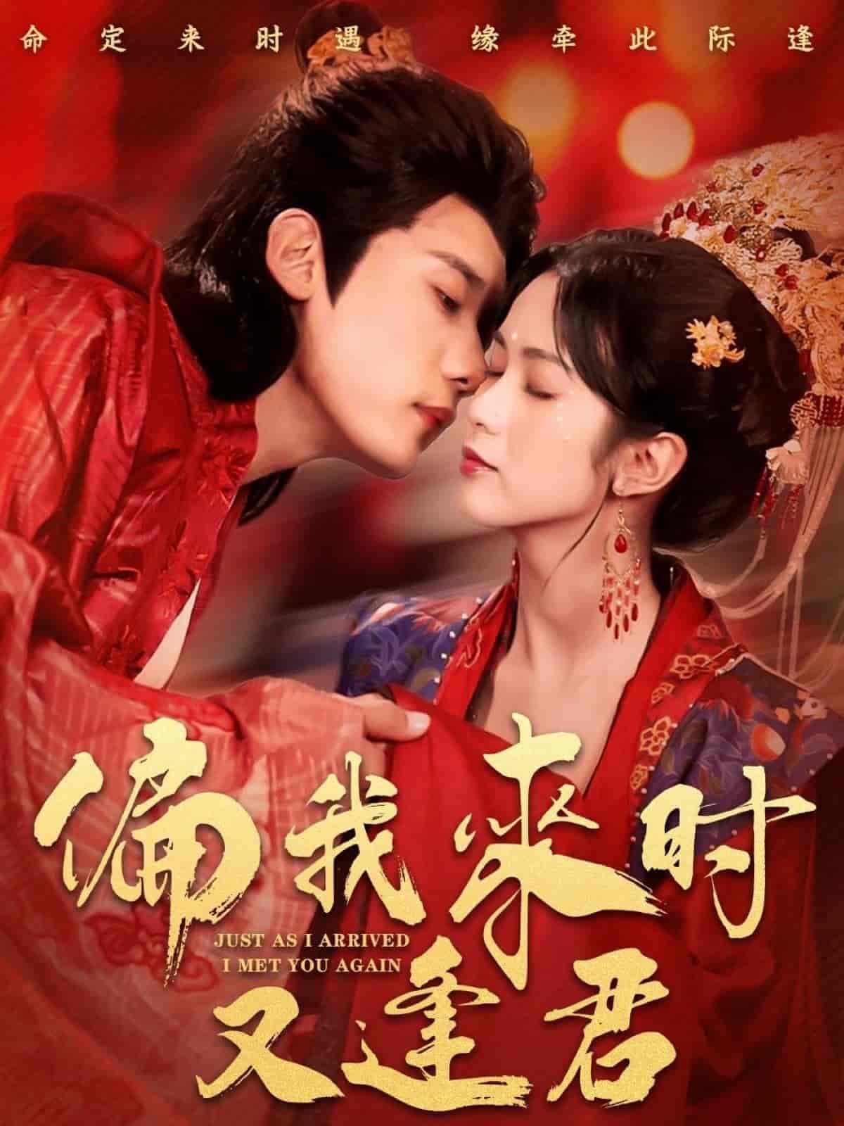 偏我来时又逢君海报