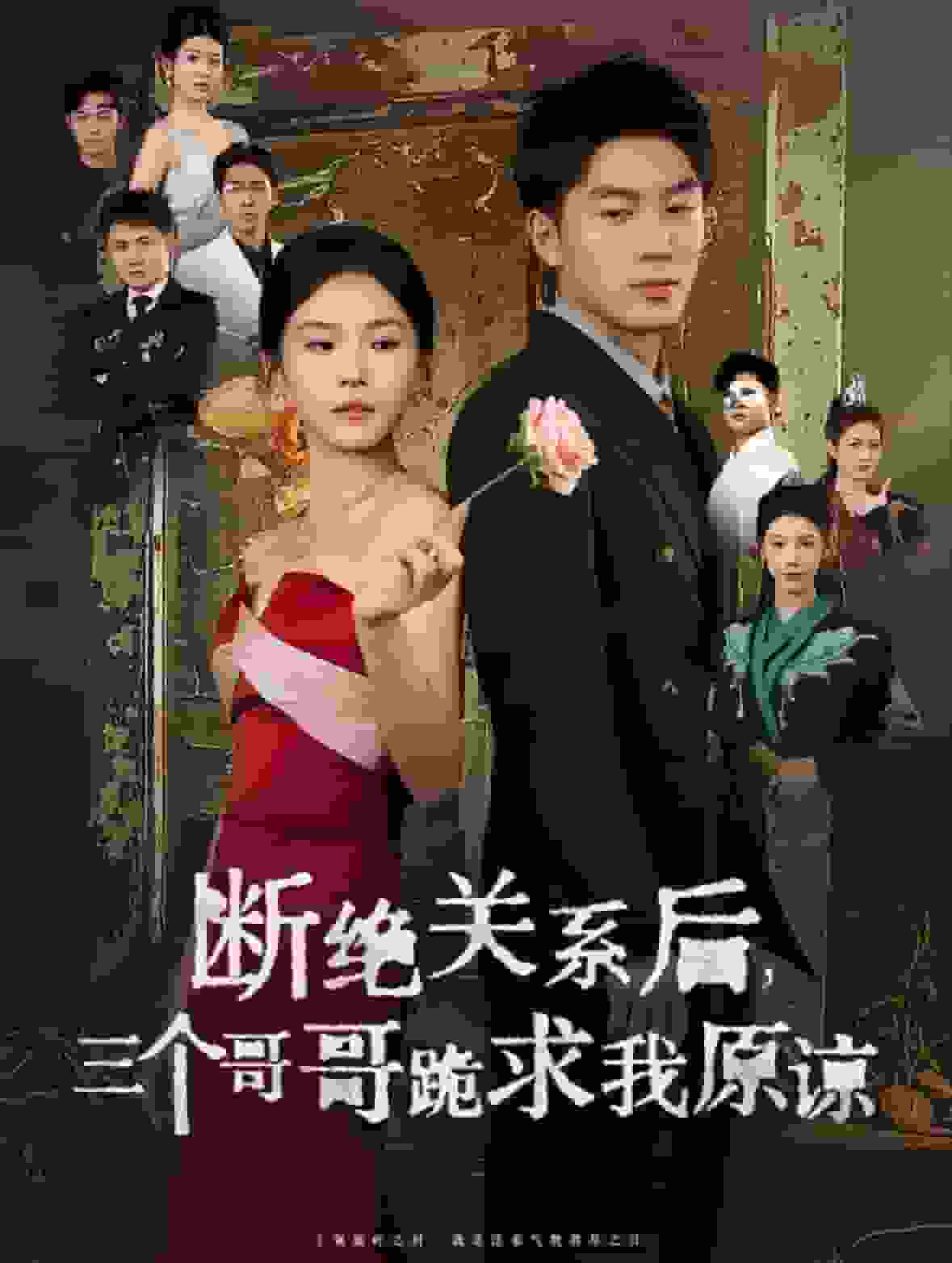 断绝关系后三个哥哥跪求我原谅海报