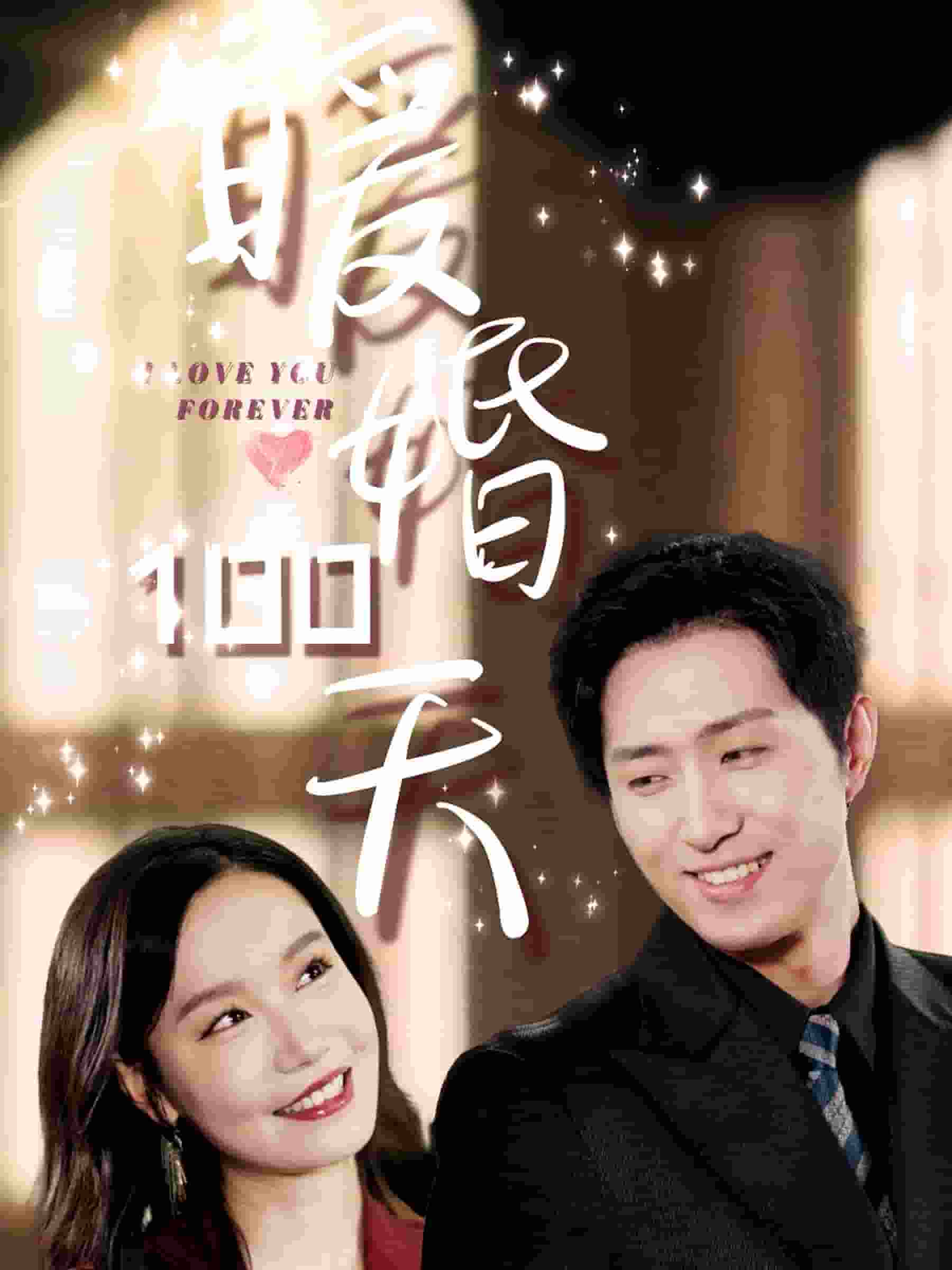 暖婚100天海报