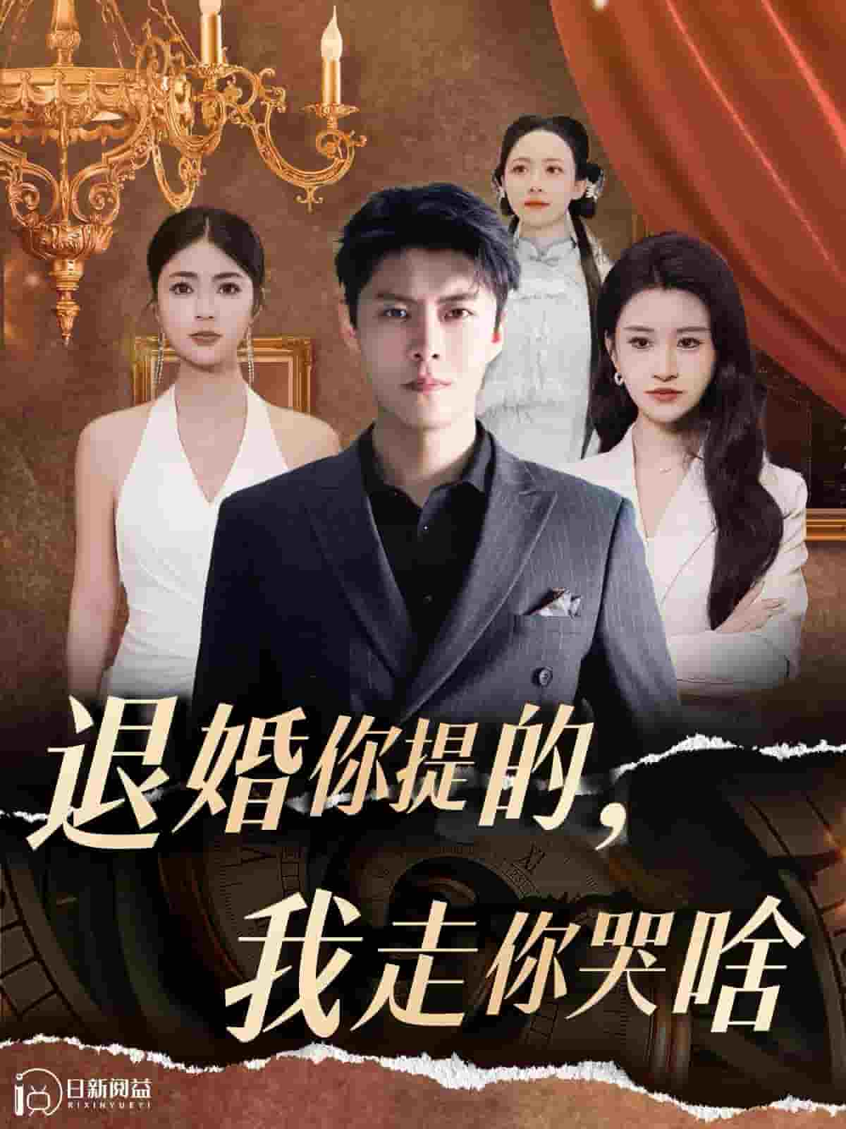 退婚你提的我走你哭啥海报