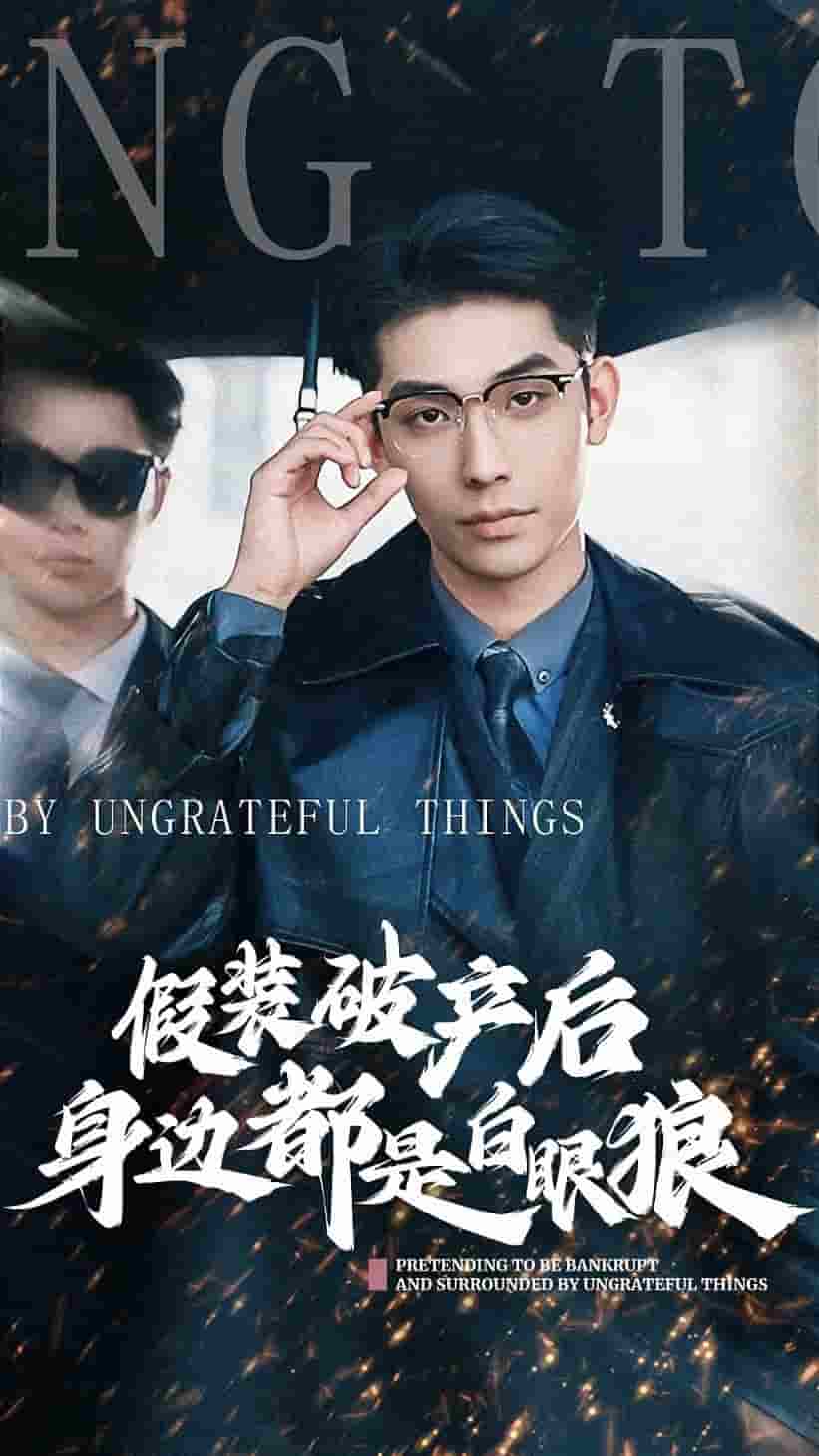 假装破产后发现身边都是白眼狼海报