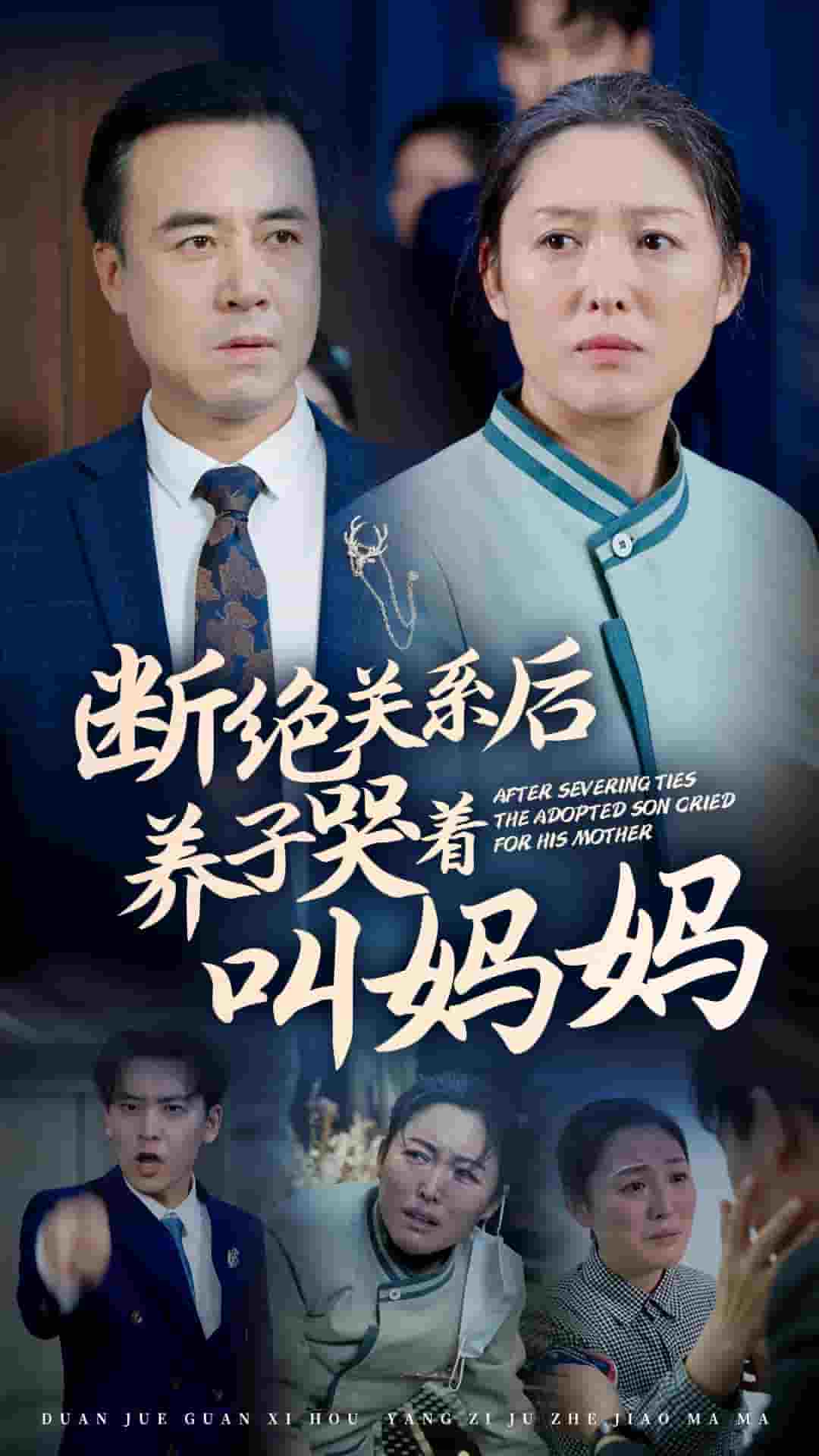 断绝关系后养子哭着叫妈妈海报