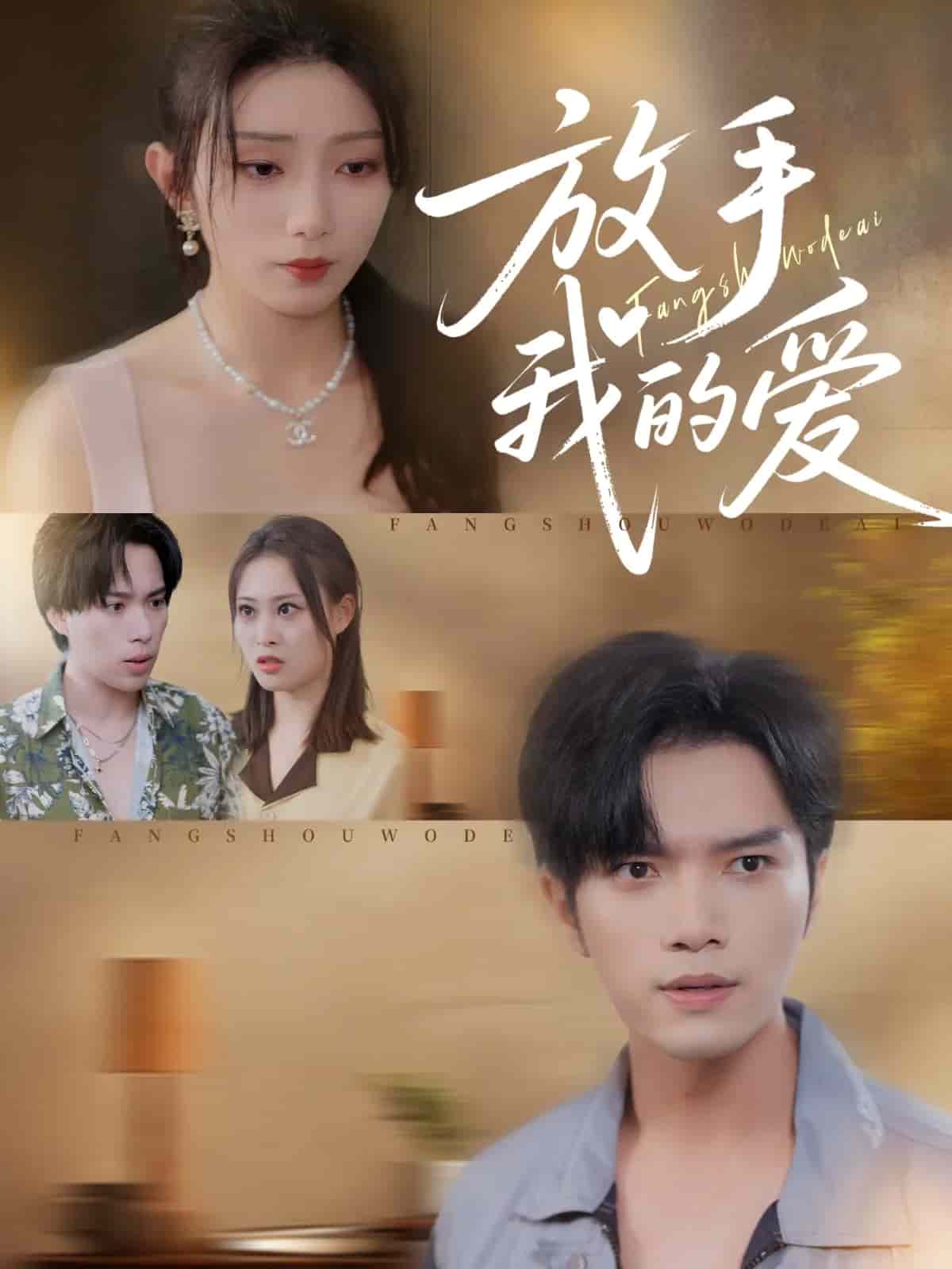 放手我的爱海报