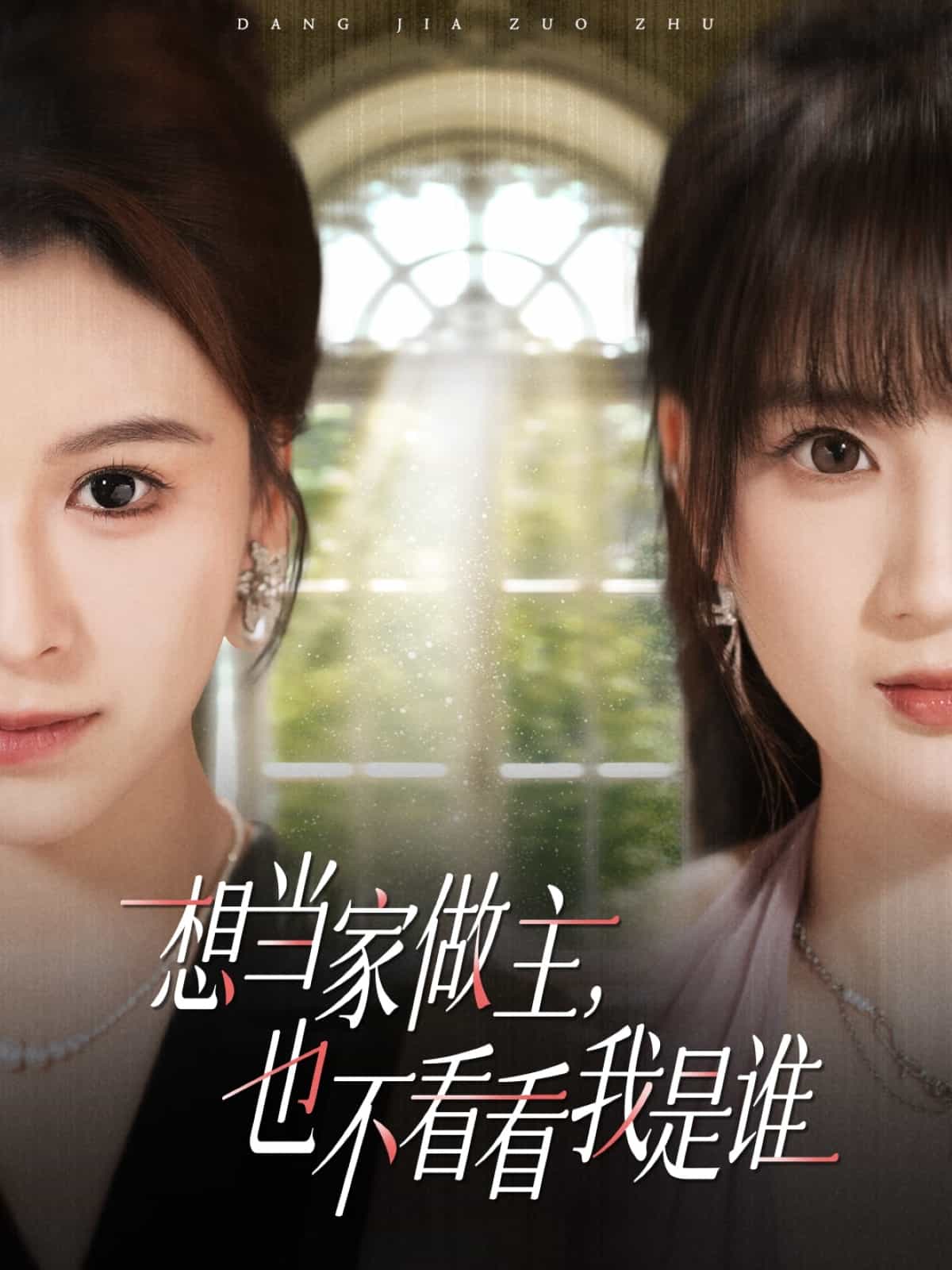 想当家做主，也不看看我是谁海报