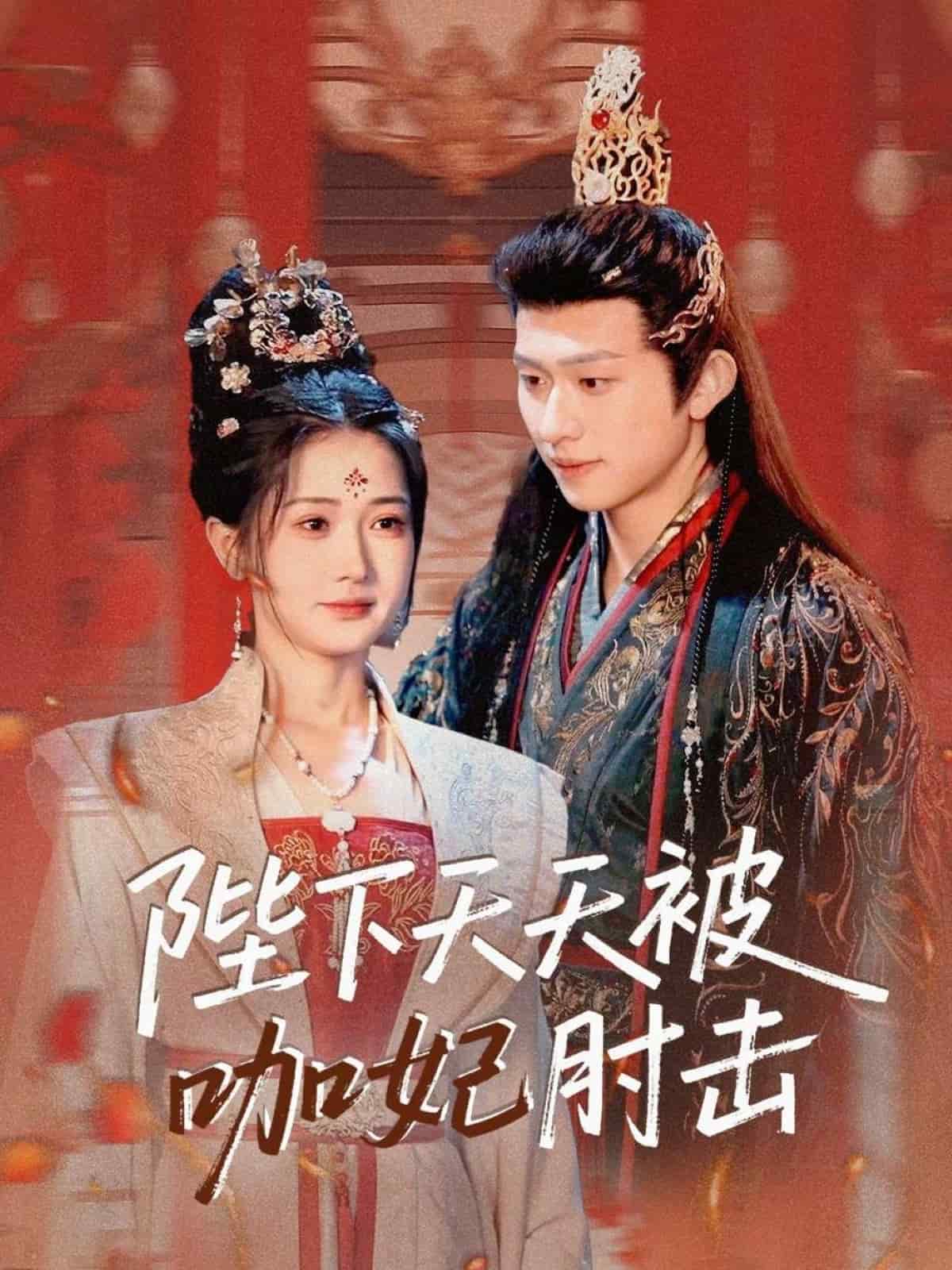 陛下天天被咖妃肘击海报