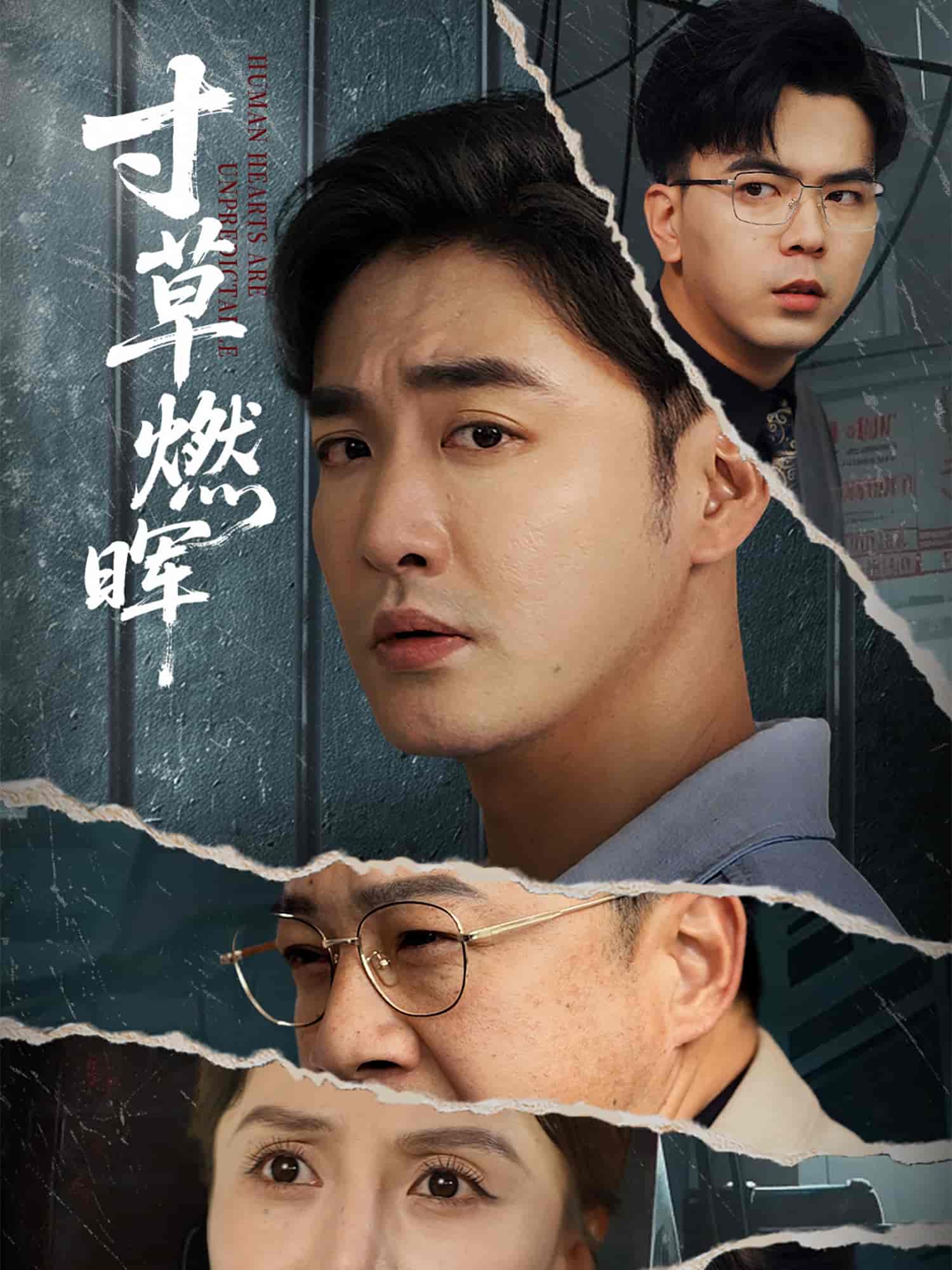 寸草燃晖海报