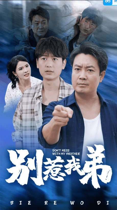 别惹我弟海报
