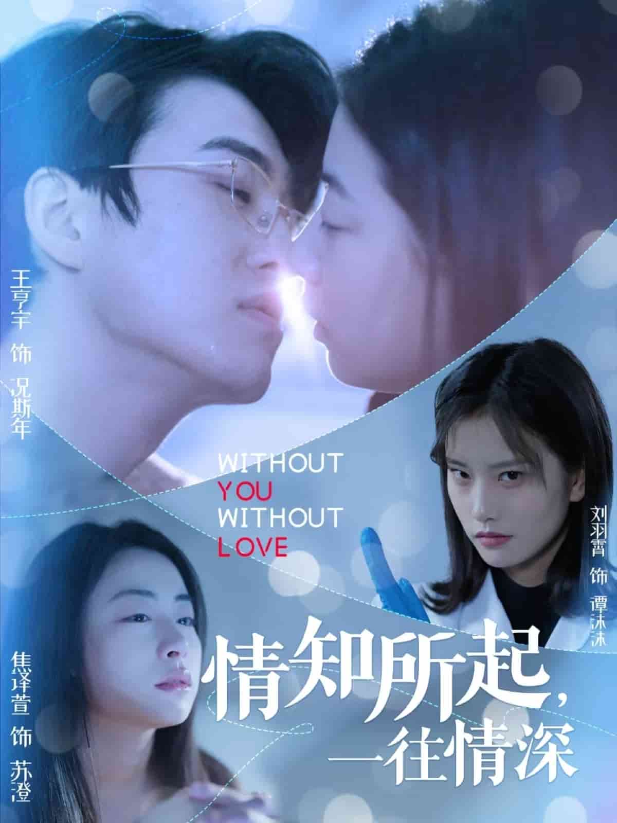 情知所起一往情深海报