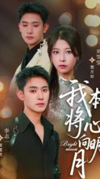 我本将心向明月海报
