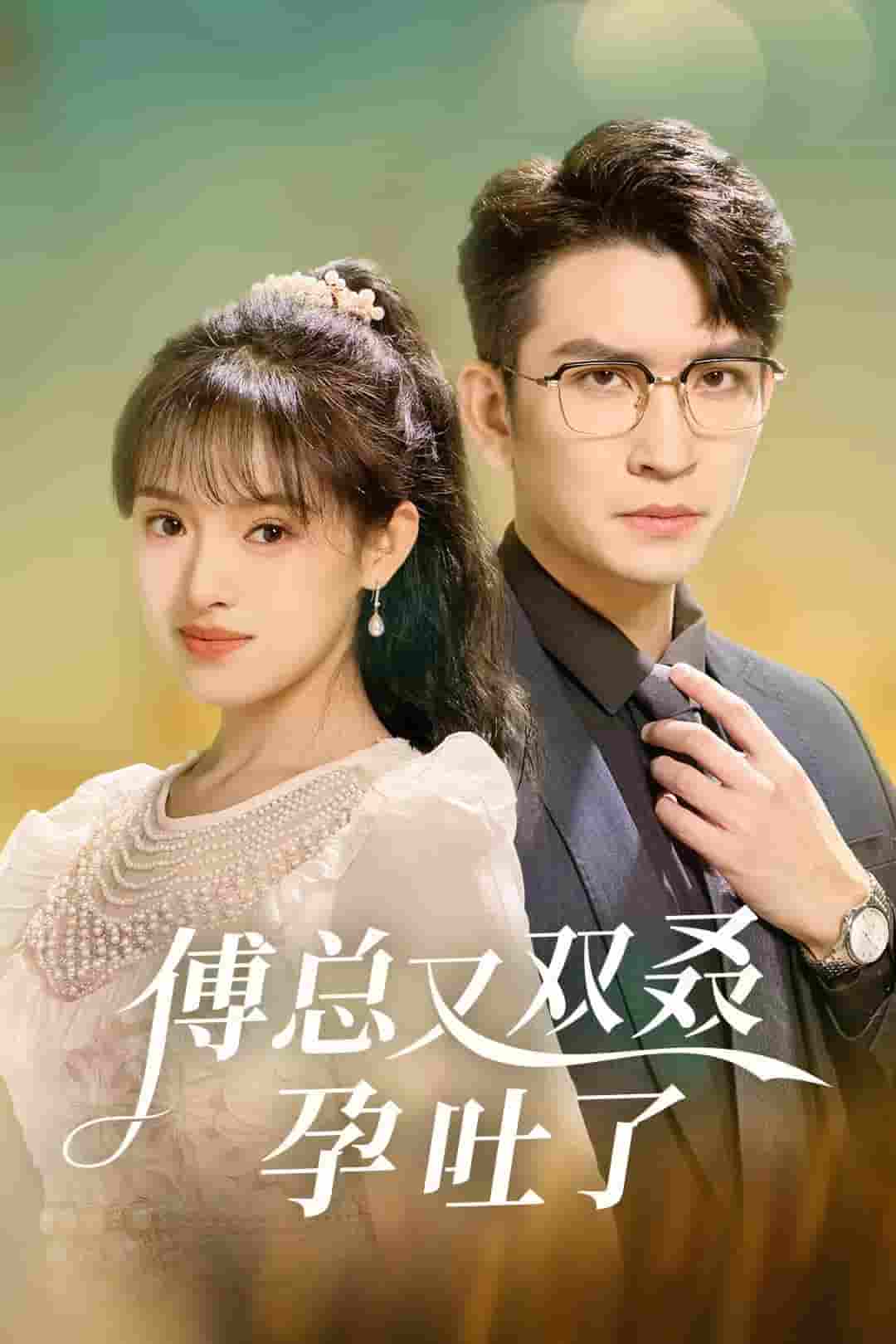 傅总又双叒孕吐了海报