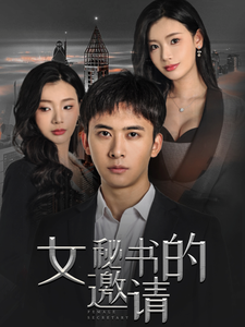 女秘书的邀请海报